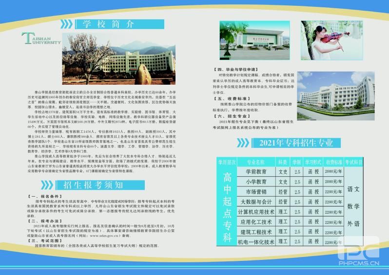 泰山区招聘_2021山东泰安新泰市中小学招聘教师219人 6月9日9 00开始报名(2)